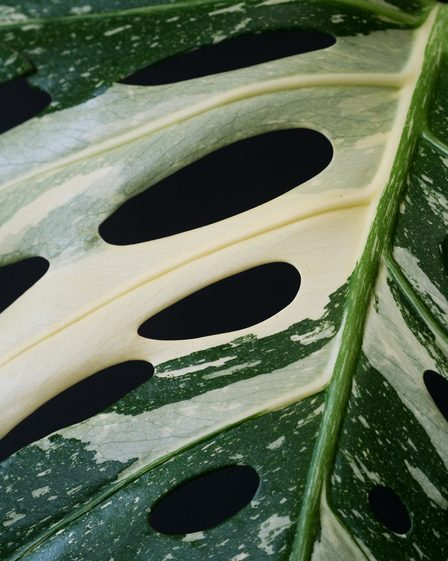 https://unsplash.com/photos/a-green-and-white-boat-cnGJwXJWdpA