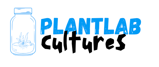 PlantLabCultures